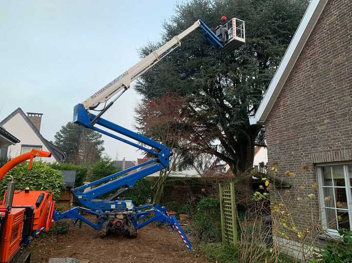 BLUELIFT SA22 FULL OPTION