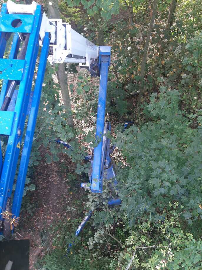 BLUELIFT SA22 FULL OPTION